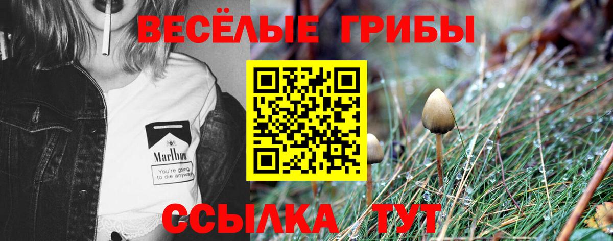 Саяногорск  Псилоцибиновые грибы ЛСД  Вход с VPN 