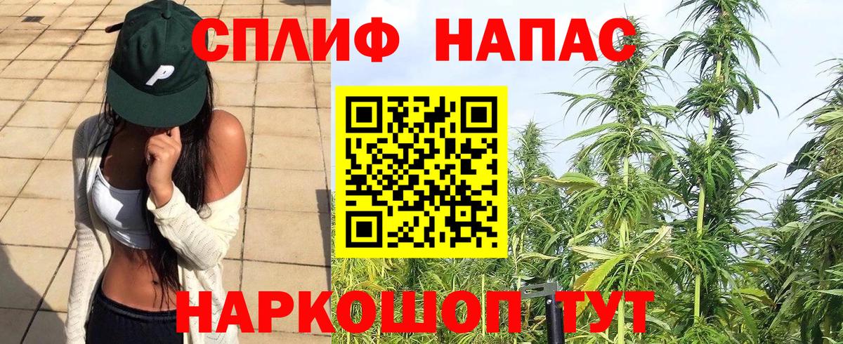 Шишки марихуана семена Саяногорск